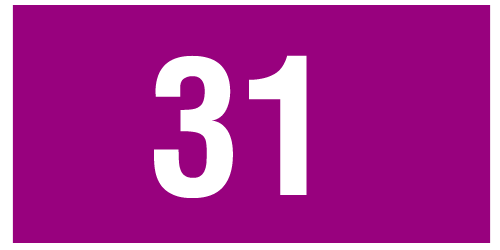 Bus 31