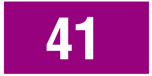 Bus 41