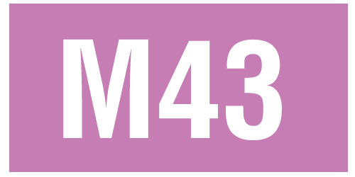 M43