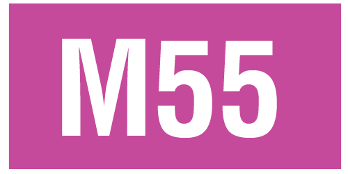 M55