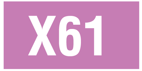 X61